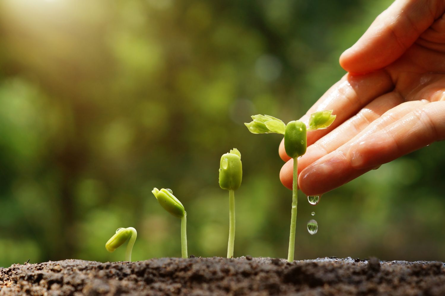 L-Agricoltura-fa-vivere-la-montagna-opportunita-e-nuove-sfide